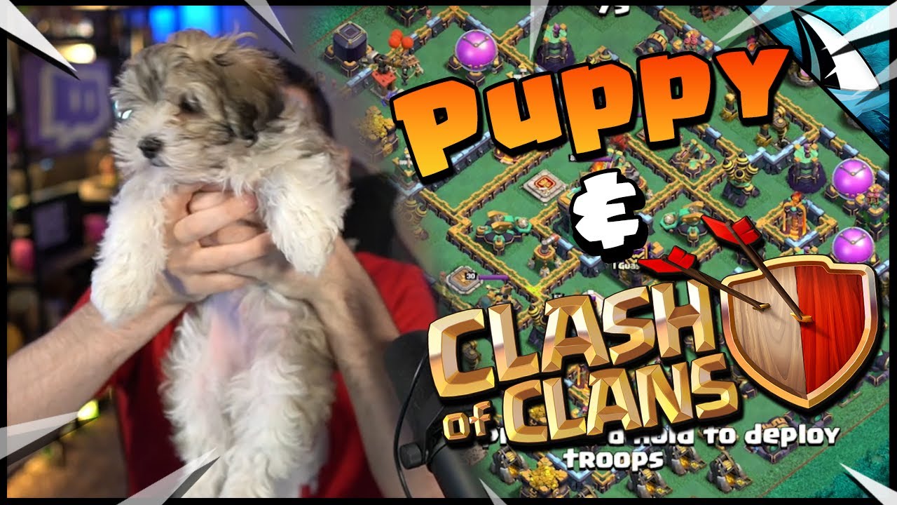 Playing Clash of Clans with a PUPPY…. by CarbonFin Gaming
